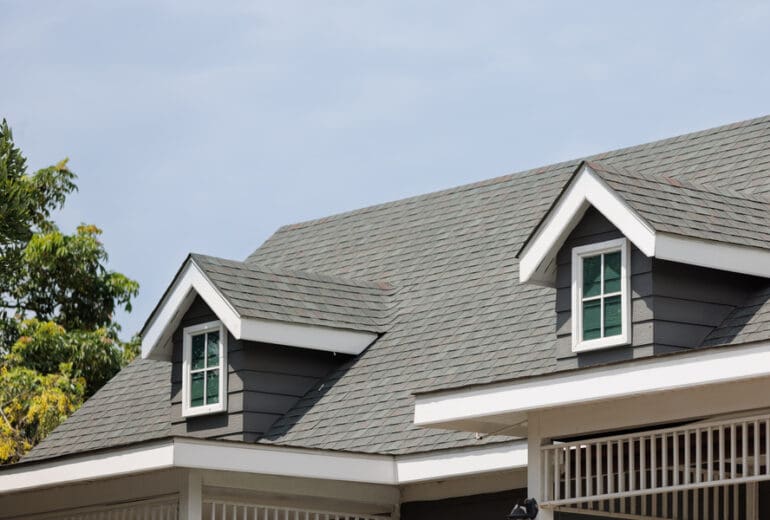 dark asphalt tiles on the roof