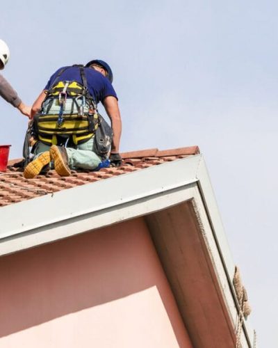 two bricklayers carry out maintenance on the roof